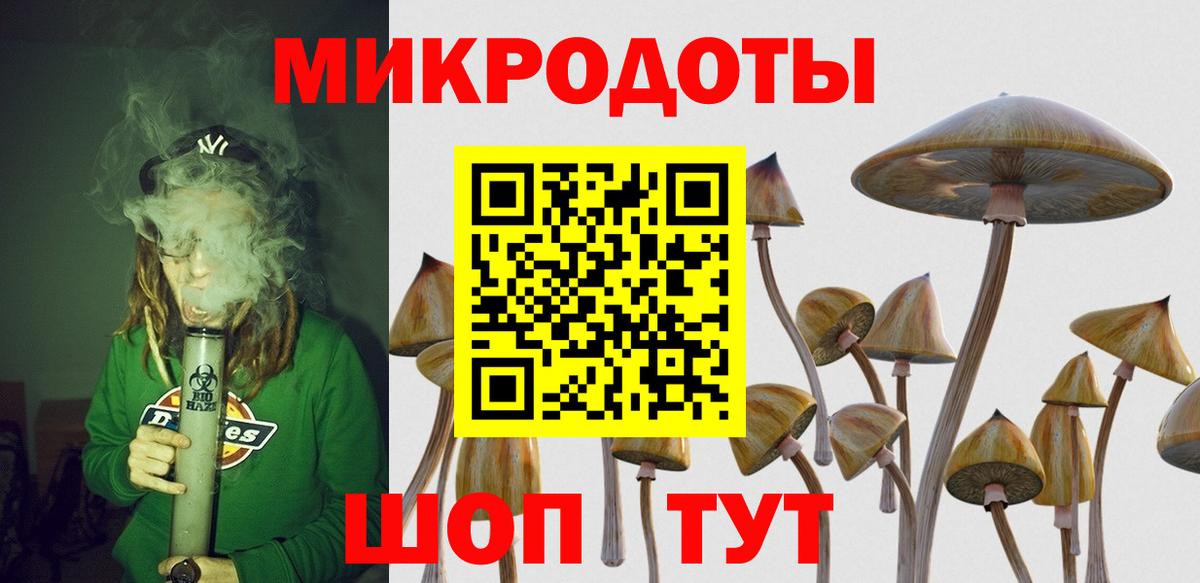 Богородск  Галлюциногенные грибы Magic Shrooms  Вход с VPN  Псилоцибиновые грибы мицелий 